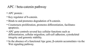 Molecular basis and etiopathogenesis of colorectal carcinoma.pptx
