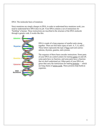 DNA: The molecular basis of mutations

Since mutations are simply changes in DNA, in order to understand how mutations work, you
need to understand how DNA does its job. Your DNA contains a set of instructions for
"building" a human. These instructions are inscribed in the structure of the DNA molecule
through a genetic code. It works like this:




                                DNA is made of a long sequence of smaller units strung
                                together. There are four basic types of unit: A, T, G, and C.
                                These letters represents the type of base each unit carries:
                                adenine, thymine, guanine, and cytosine.

                                The sequence of these bases encodes instructions. Some parts
                                of your DNA are control centers for turning genes on and off,
                                some parts have no function, and some parts have a function
                                that we don't understand yet. Other parts of your DNA are
                                genes that carry the instructions for making proteins — which
                                are long chains of amino acids. These proteins help build an
                                organism.




                                                                                                1
 