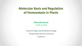 Molecular Basis and Regulation
of Homeostasis in Plants
Shivendra Kumar
L-2016-A-175-M
School of Agricultural Biotechnology
Punjab Agricultural University
Ludhiana
 