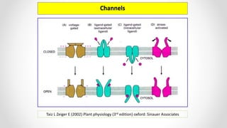 Channels
Taiz L Zeiger E (2002) Plant physiology (3rd edition) oxford: Sinauer Associates
 