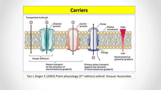 Carriers
Taiz L Zeiger E (2002) Plant physiology (3rd edition) oxford: Sinauer Associates
 
