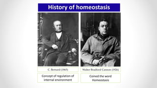 History of homeostasis
C. Bernard (1865) Walter Bradford Cannon (1926)
Concept of regulation of
internal environment
Coined the word
Homeostasis
 