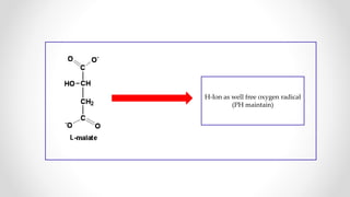 H-Ion as well free oxygen radical
(PH maintain)
 