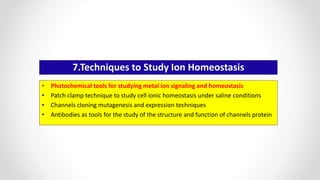 7.Techniques to Study Ion Homeostasis
• Photochemical tools for studying metal ion signaling and homeostasis
• Patch clamp technique to study cell ionic homeostasis under saline conditions
• Channels cloning mutagenesis and expression techniques
• Antibodies as tools for the study of the structure and function of channels protein
 