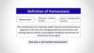 Definition of Homeostasis
The maintenance of a relatively stable internal environment by an
organism in the face of a changing external environment and
varying internal activity using negative feedback mechanisms to
minimize an error signal
+=
How does a cell maintain homeostasis?
 