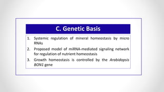 C. Genetic Basis
1. Systemic regulation of mineral homeostasis by micro
RNAs
2. Proposed model of miRNA-mediated signaling network
for regulation of nutrient homeostasis
3. Growth homeostasis is controlled by the Arabidopsis
BON1 gene
 