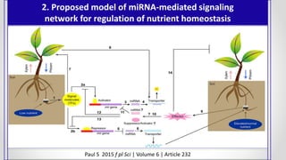 2. Proposed model of miRNA-mediated signaling
network for regulation of nutrient homeostasis
Paul S 2015 f pl Sci | Volume 6 | Article 232
 
