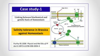 Case study-1
Purthy RS 2008 Physiol and Mol Bio of Pl
doi:0.1007/s12298-008-0004-4
Salinity tolerance in Brassica
against Homeostasis
Linking between biochemical and
genetic basis of homeostasis
 