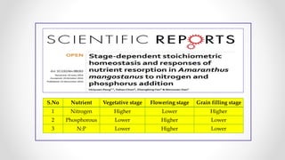 S.No Nutrient Vegetative stage Flowering stage Grain filling stage
1 Nitrogen Higher Lower Higher
2 Phosphorous Lower Higher Lower
3 N:P Lower Higher Lower
doi: 10.1242/dev.086363
 
