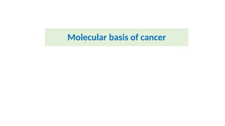 Comprehensive Overview of the Molecular Basis of Cancer and Cell Cycle ...