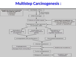 molecular basis of cancer for medical student | PPTX