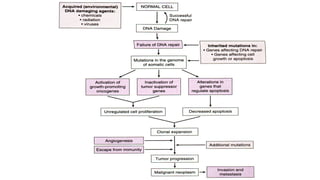 Comprehensive Overview of Carcinogenesis and Tumor Immunity Mechanisms ...