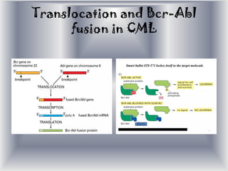 Medical Education- MOLECULAR BASIS OF CARCINOGENESIS.pdf