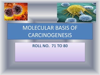 MOLECULAR BASIS OF
CARCINOGENESIS
ROLL NO. 71 TO 80
 