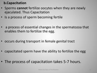 Capacitation Process Molecular basis of fertilization | PPTX