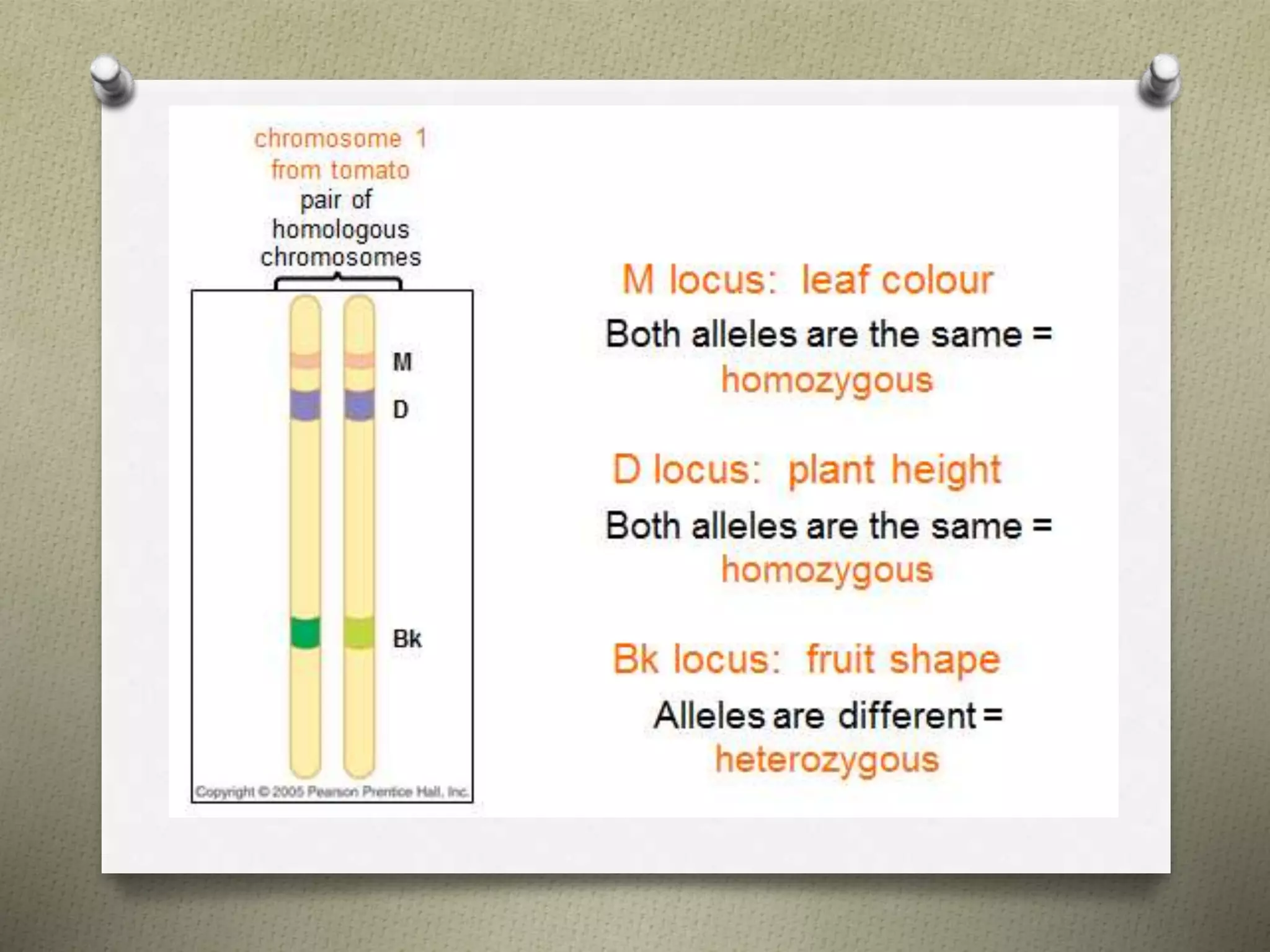Molecular basis of genetic disease | PPTX