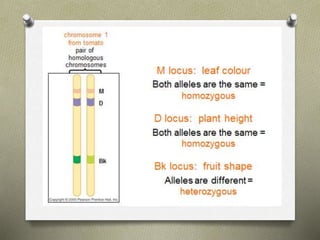 Molecular basis of genetic disease | PPTX