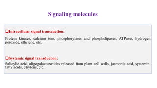 molecular basis of host pathogen interaction lecture 11 and 12.pdf