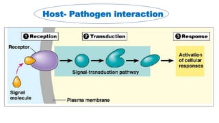 molecular basis of host pathogen interaction lecture 11 and 12.pdf