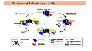 molecular basis of host pathogen interaction lecture 11 and 12.pdf