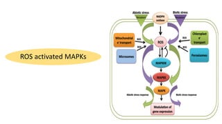 molecular basis of host pathogen interaction lecture 11 and 12.pdf