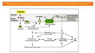 molecular basis of host pathogen interaction lecture 11 and 12.pdf