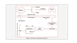 molecular basis of host pathogen interaction lecture 11 and 12.pdf