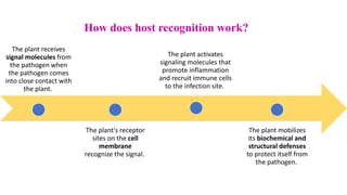 molecular basis of host pathogen interaction lecture 11 and 12.pdf