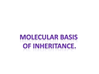 Molecular basis of inheritance by mohanbio