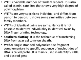 • VNTRs: Variable number of tandem repeats. It is also
called as mini satellites that shows very high degree of
polymorphism.
• VNTRs are very specific to individual and differs from
person to person. It shows some similarities between
family members.
• VNTRs of identical twins are same. Hence it is not
possible to identify individuality in identical twins by
DNA finger printing technology.
• Southern blotting: It is the technique of transferring
DNA from agar gel to nylon sheath.
• Probe: Single stranded polynucleotide fragment
complementary to specific sequence of nucleotides of
DNA is called probe. It is mainly used in identify VNTRs
and desired gene
 