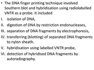 • The DNA finger printing technique involved
Southern blot and hybridisation using radiolabelled
VNTR as a probe. It included
I. isolation of DNA,
II. digestion of DNA by restriction endonucleases,
III. separation of DNA fragments by electrophoresis,
IV. transferring (blotting) of separated DNA fragments
to nylon sheath.
V. hybridisation using labelled VNTR probe,
VI. detection of hybridised DNA fragments by
autoradiography.
 
