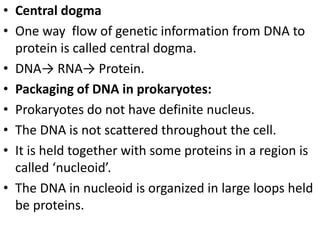 • Central dogma
• One way flow of genetic information from DNA to
protein is called central dogma.
• DNA→ RNA→ Protein.
• Packaging of DNA in prokaryotes:
• Prokaryotes do not have definite nucleus.
• The DNA is not scattered throughout the cell.
• It is held together with some proteins in a region is
called ‘nucleoid’.
• The DNA in nucleoid is organized in large loops held
be proteins.
 