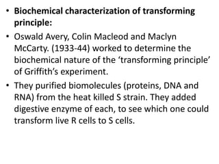 • Biochemical characterization of transforming
principle:
• Oswald Avery, Colin Macleod and Maclyn
McCarty. (1933-44) worked to determine the
biochemical nature of the ‘transforming principle’
of Griffith’s experiment.
• They purified biomolecules (proteins, DNA and
RNA) from the heat killed S strain. They added
digestive enzyme of each, to see which one could
transform live R cells to S cells.
 