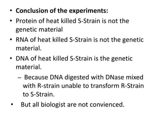 • Conclusion of the experiments:
• Protein of heat killed S-Strain is not the
genetic material
• RNA of heat killed S-Strain is not the genetic
material.
• DNA of heat killed S-Strain is the genetic
material.
– Because DNA digested with DNase mixed
with R-strain unable to transform R-Strain
to S-Strain.
• But all biologist are not convienced.
 