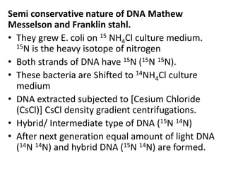 Semi conservative nature of DNA Mathew
Messelson and Franklin stahl.
• They grew E. coli on 15 NH4Cl culture medium.
15N is the heavy isotope of nitrogen
• Both strands of DNA have 15N (15N 15N).
• These bacteria are Shifted to 14NH4Cl culture
medium
• DNA extracted subjected to [Cesium Chloride
(CsCl)] CsCl density gradient centrifugations.
• Hybrid/ Intermediate type of DNA (15N 14N)
• After next generation equal amount of light DNA
(14N 14N) and hybrid DNA (15N 14N) are formed.
 