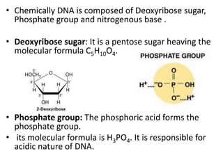 • Chemically DNA is composed of Deoxyribose sugar,
Phosphate group and nitrogenous base .
• Deoxyribose sugar: It is a pentose sugar heaving the
molecular formula C5H10O4.
• Phosphate group: The phosphoric acid forms the
phosphate group.
• its molecular formula is H3PO4. It is responsible for
acidic nature of DNA.
 