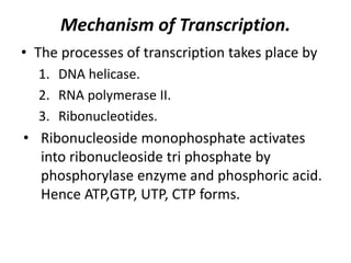Mechanism of Transcription.
• The processes of transcription takes place by
1. DNA helicase.
2. RNA polymerase II.
3. Ribonucleotides.
• Ribonucleoside monophosphate activates
into ribonucleoside tri phosphate by
phosphorylase enzyme and phosphoric acid.
Hence ATP,GTP, UTP, CTP forms.
 