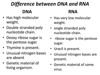 Difference between DNA and RNA
DNA
• Has high molecular
weight.
• Double stranded poly
nucleotide chain.
• Deoxy ribose sugar is
the pentose sugar.
• Thymine is present.
• Unusual nitrogen bases
are absent
• Genetic material of
living organism.
RNA
• Has very low molecular
weight.
• single stranded poly
nucleotide chain.
• ribose sugar is the pentose
sugar.
• Uracil is present.
• Unusual nitrogen bases are
present.
• Genetic material of some
virus.
 