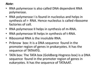 Note:
• RNA polymerase is also called DNA dependent RNA
polymerase.
• RNA polymerase I is found in nucleolus and helps in
synthesis of r- RNA. Hence nucleolus is called ribosome
factories of cell.
• RNA polymerase II helps in synthesis of m-RNA.
• RNA polymerase III helps in synthesis of t-RNA.
• Ribosomal RNA is the insoluble RNA.
• Pribnow box: It is a DNA sequence found in the
promoter region of genes in prokaryotes. It has the
sequence of TATAATG.
• TATA box: The TATA box (Goldberg-Hogness box) is a DNA
sequence found in the promoter region of genes in
eukaryotes. It has the sequence of TATAAAT.
 