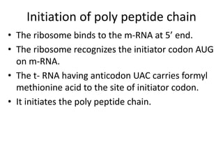 Initiation of poly peptide chain
• The ribosome binds to the m-RNA at 5’ end.
• The ribosome recognizes the initiator codon AUG
on m-RNA.
• The t- RNA having anticodon UAC carries formyl
methionine acid to the site of initiator codon.
• It initiates the poly peptide chain.
 