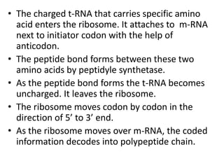 • The charged t-RNA that carries specific amino
acid enters the ribosome. It attaches to m-RNA
next to initiator codon with the help of
anticodon.
• The peptide bond forms between these two
amino acids by peptidyle synthetase.
• As the peptide bond forms the t-RNA becomes
uncharged. It leaves the ribosome.
• The ribosome moves codon by codon in the
direction of 5’ to 3’ end.
• As the ribosome moves over m-RNA, the coded
information decodes into polypeptide chain.
 