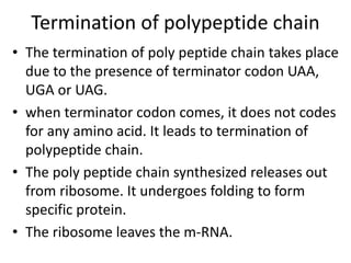 Termination of polypeptide chain
• The termination of poly peptide chain takes place
due to the presence of terminator codon UAA,
UGA or UAG.
• when terminator codon comes, it does not codes
for any amino acid. It leads to termination of
polypeptide chain.
• The poly peptide chain synthesized releases out
from ribosome. It undergoes folding to form
specific protein.
• The ribosome leaves the m-RNA.
 