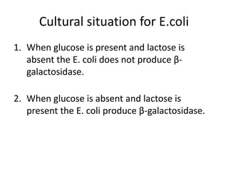 Cultural situation for E.coli
1. When glucose is present and lactose is
absent the E. coli does not produce β-
galactosidase.
2. When glucose is absent and lactose is
present the E. coli produce β-galactosidase.
 
