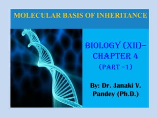 •
MOLECULAR BASIS OF INHERITANCE
Biology (XII)–
Chapter 4
(Part –1)
By: Dr. Janaki V.
Pandey (Ph.D.)
 