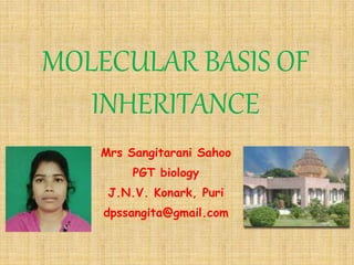 MOLECULAR BASIS OF
INHERITANCE
Mrs Sangitarani Sahoo
PGT biology
J.N.V. Konark, Puri
dpssangita@gmail.com
 