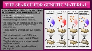 Molecular Basis of Inheritance.pptx