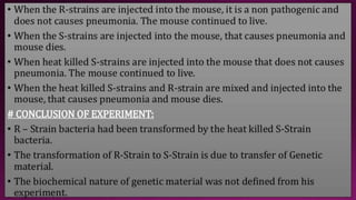 Molecular Basis of Inheritance.pptx