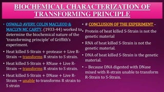 Molecular Basis of Inheritance.pptx