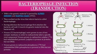 Molecular Basis of Inheritance.pptx