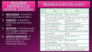 Molecular Basis of Inheritance.pptx